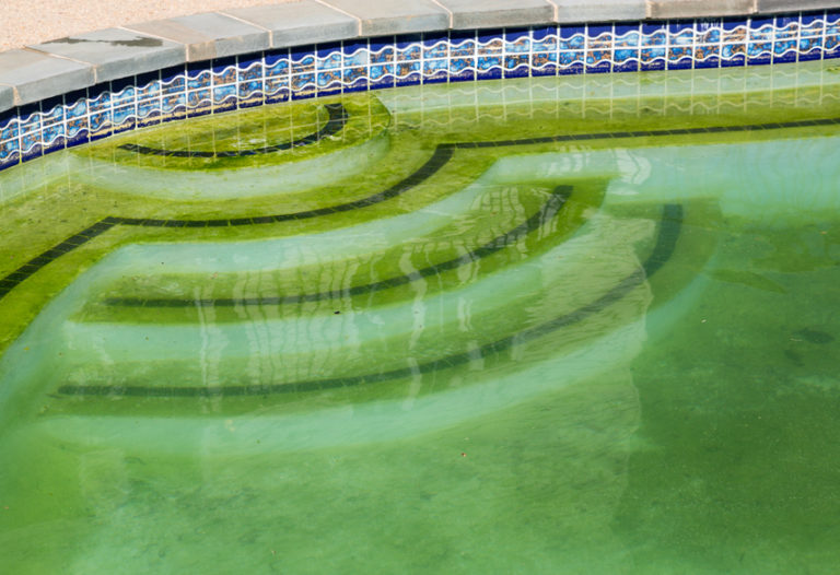 Consejos para el mantenimiento de piscinas: No a las algas