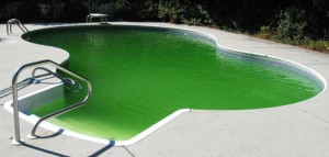 mantenimiento piscinas sant cugat barcelona