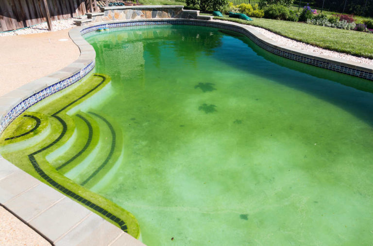 Consecuencias de no tener la piscina limpia