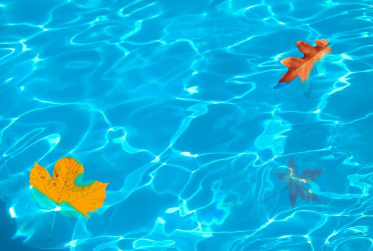 7 consejos básicos para la limpieza de la piscina