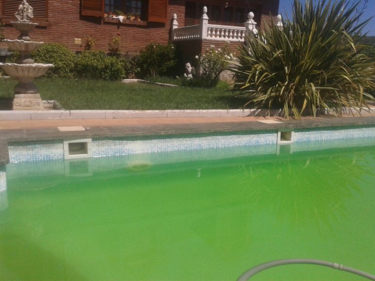 Limpiar el agua verde de nuestra piscina