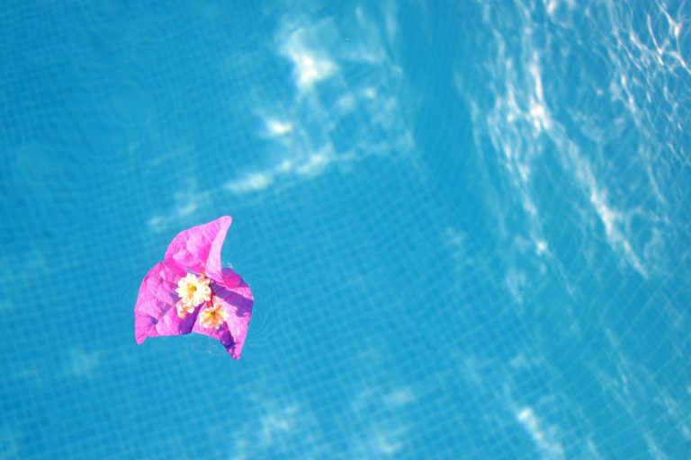 ¿Necesita un servicio profesional de limpieza de piscina en Sant Cugat?